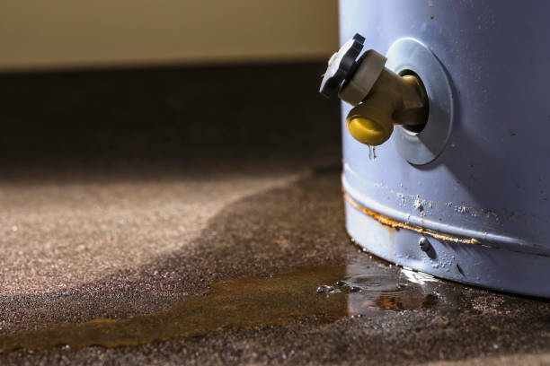 Best Water damage contractors near me  in Nokomis, FL