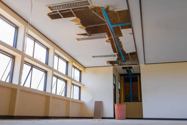 Best Ceiling water damage repair  in Nokomis, FL
