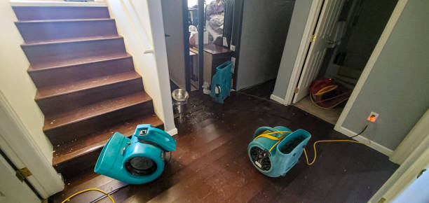 Best Flood restoration services  in Nokomis, FL