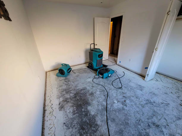 Best Fire Damage Restoration  in Nokomis, FL