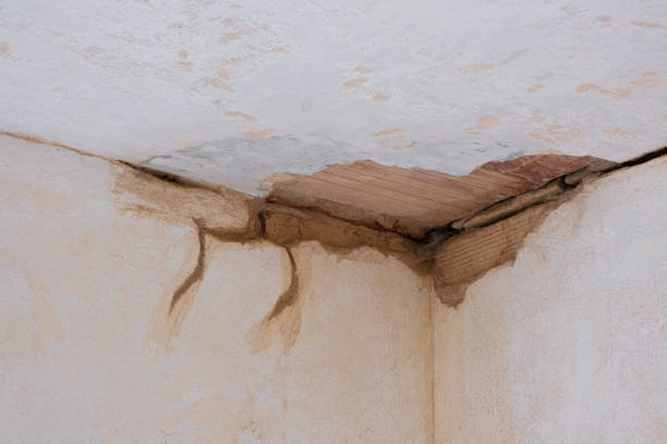 Best Commercial water damage restoration  in Nokomis, FL