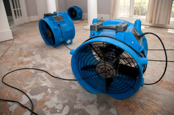 Best Sewage cleanup and water damage restoration  in Nokomis, FL