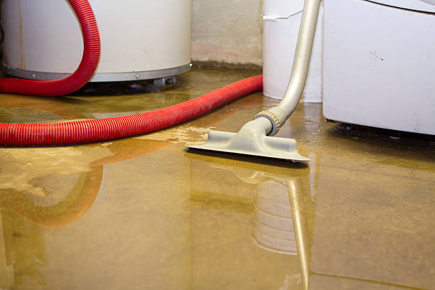 Best Water damage cleanup near me  in Nokomis, FL
