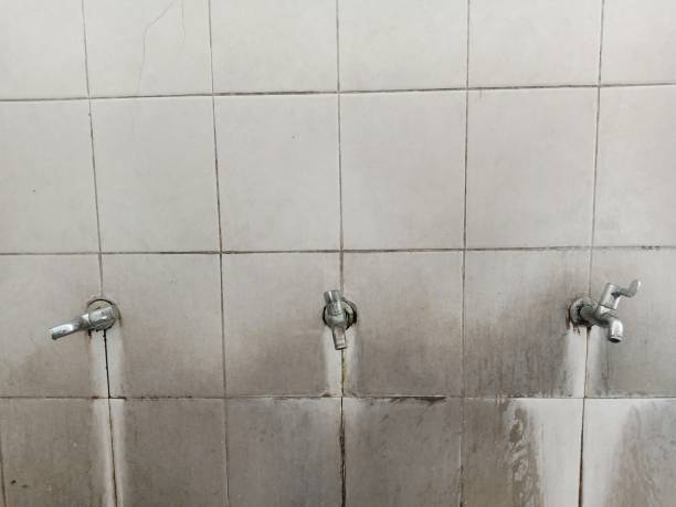 Best 24/7 water damage repair  in Nokomis, FL
