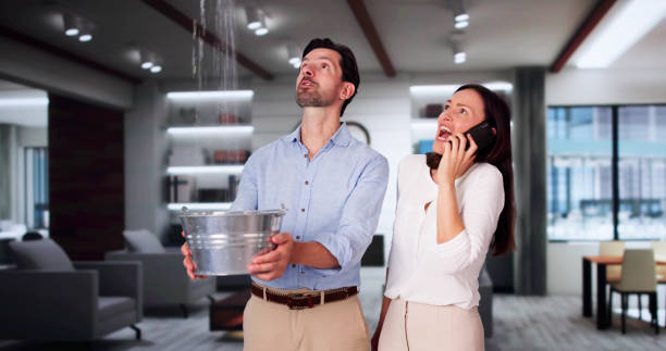 Best Basement water damage restoration  in Nokomis, FL
