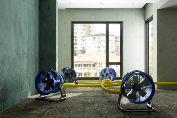 Trusted FL Water damage restoration Experts