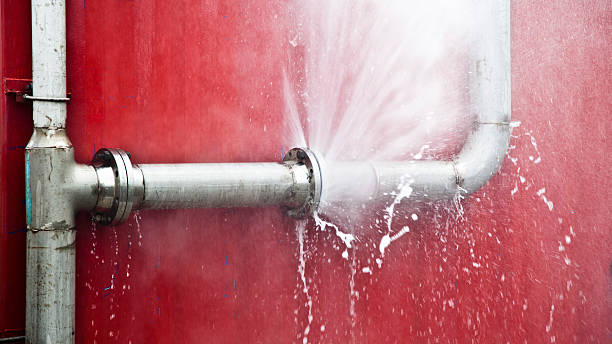 Best Flooded house restoration  in Nokomis, FL